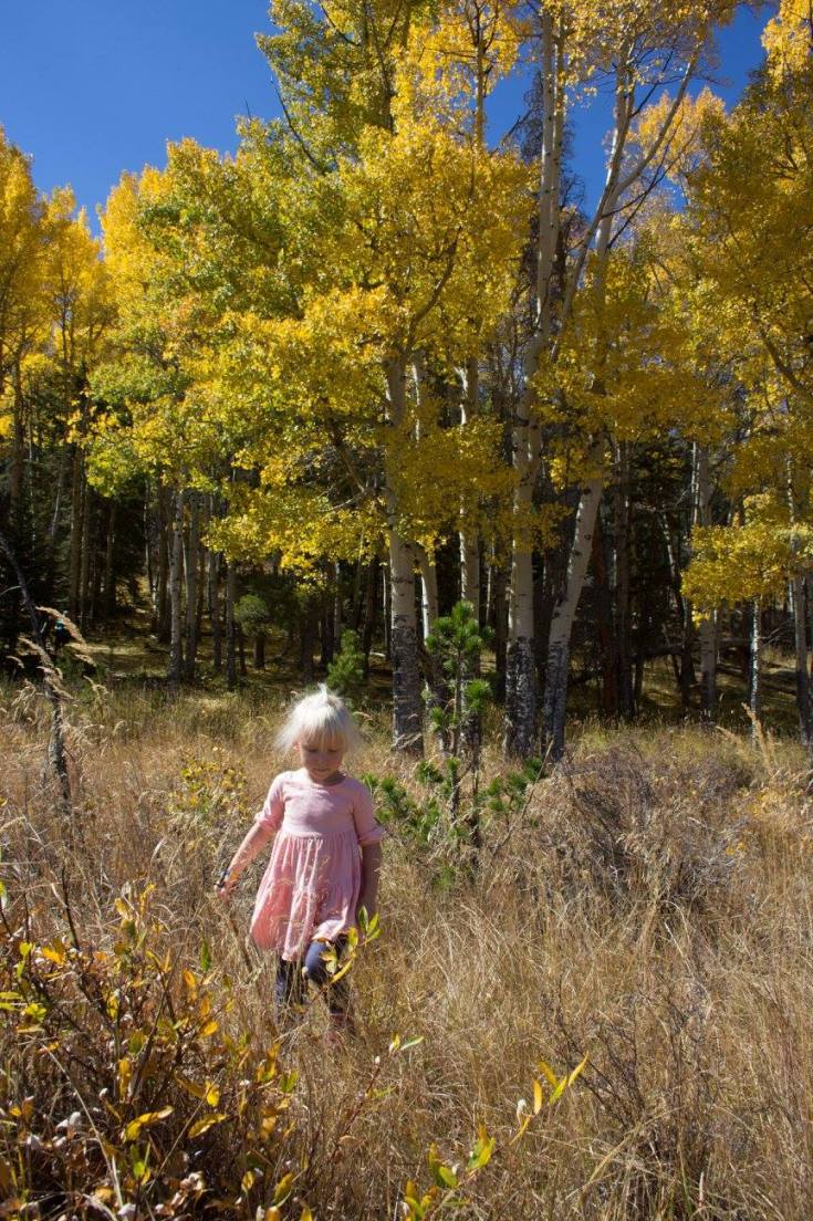 12240829_10153050893686734_820747119161592680_o