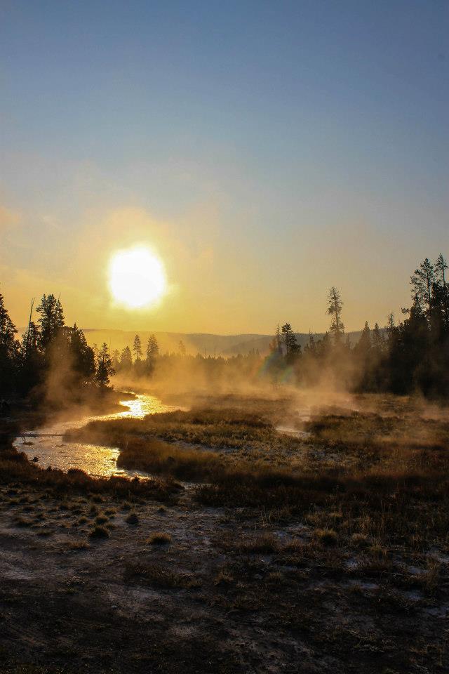 2019_10151015500636734_2043190493_n