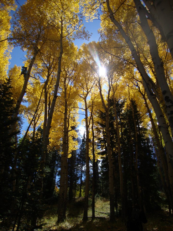 312272_10150292037601734_701847979_n