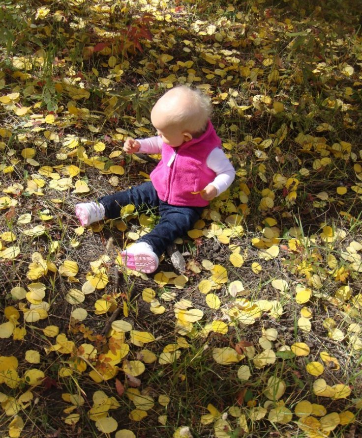 316270_10150292037736734_1764983647_n