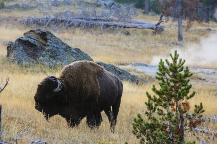 550644_10151015497751734_1905883567_n