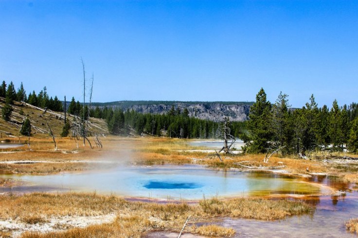 644128_10151015500506734_2053148690_n