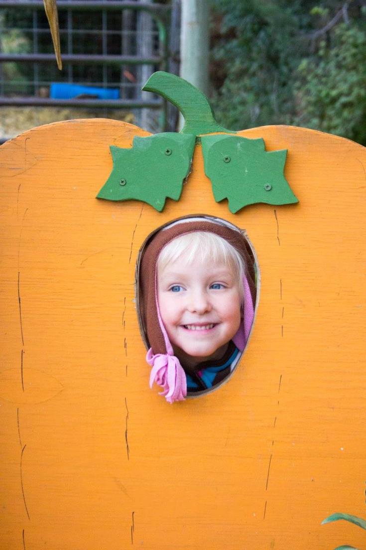 12248018_10153050881251734_7055913950084632368_o