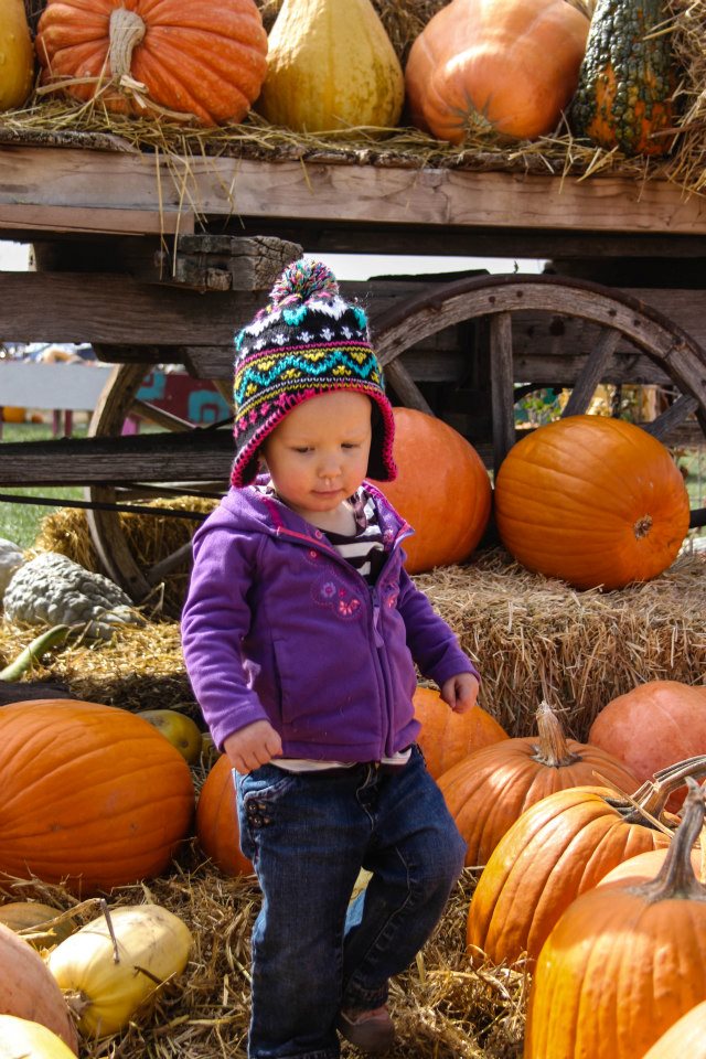 533799_10151064033951734_1526003062_n