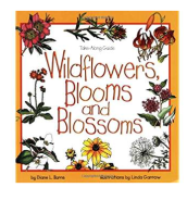 screen-shot-2016-12-08-at-1-30-57-pm