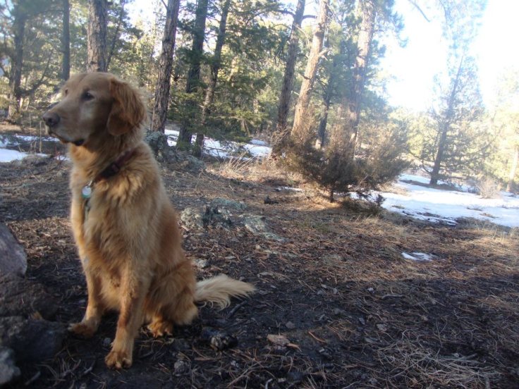 294913_10150759943866734_743923954_n