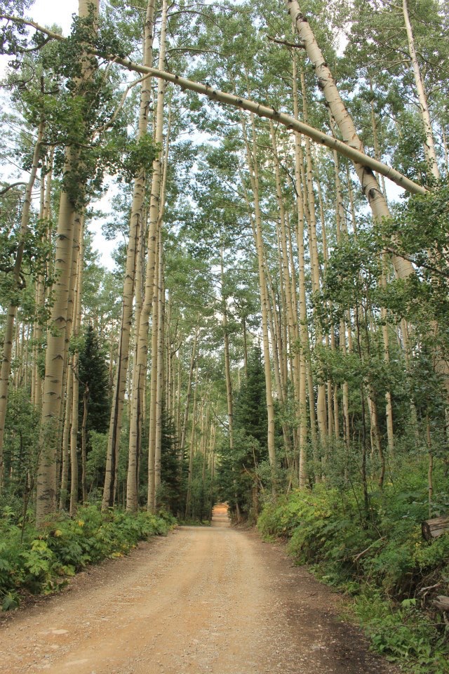 558672_10150965842726734_1701729850_n