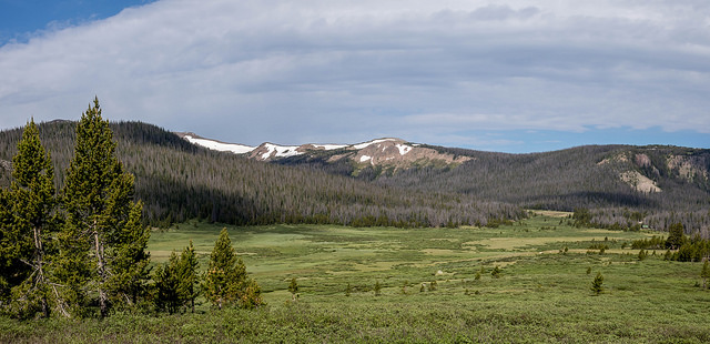 35703494955_90f732c66b_z